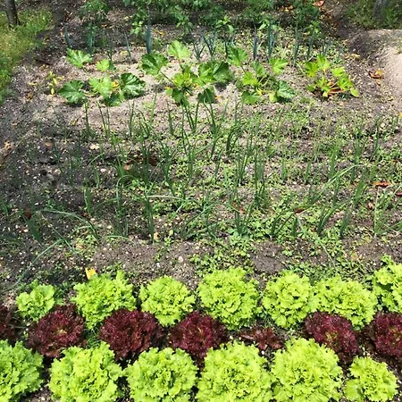 Casa vacanze Quintinha Da Evangelina *