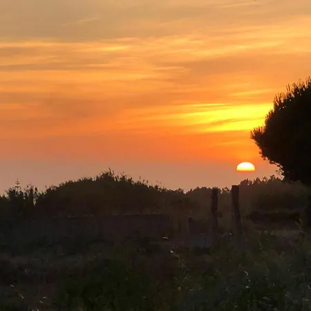 Quintinha Da Evangelina Acafora