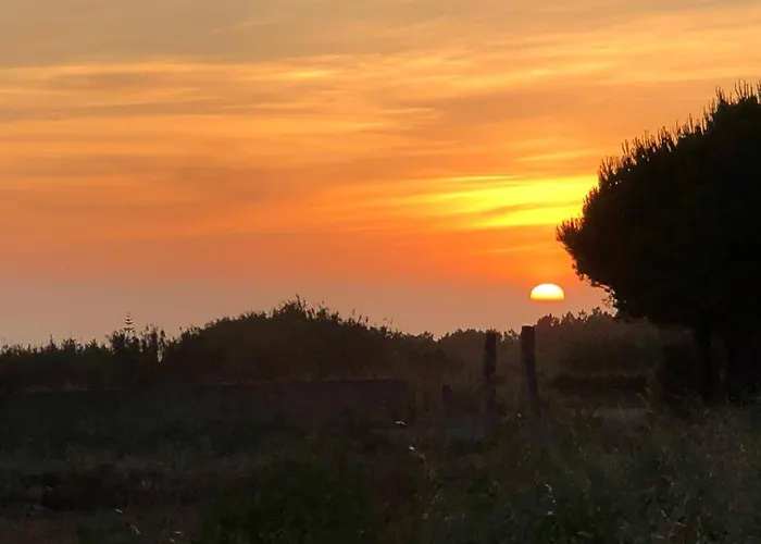 Quintinha Da Evangelina Acafora