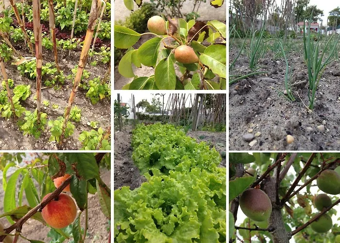 Vakantiehuis Quintinha Da Evangelina